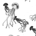 Surface In